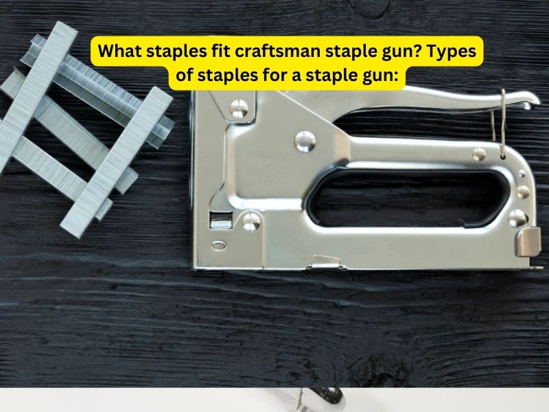 What staples fit craftsman staple gun Types of staples for a staple gun